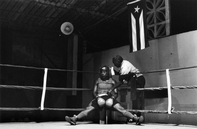 HAVANA BOXING CLUB